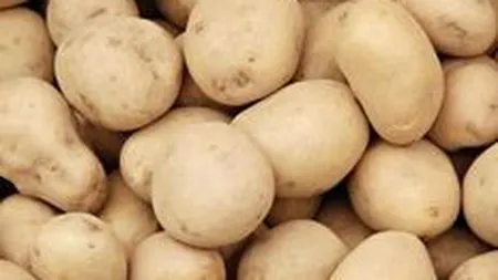 Recolta scazuta de cartofi din 2010 a facut sa explodeze preturile in piete si magazine