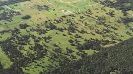 Cumparatorii de terenuri misuna prin piata si 2 ani pana sa achizitioneze