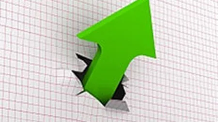 Bursa a deschis pe verde vineri, sectorul energetic a avut cea mai mare crestere