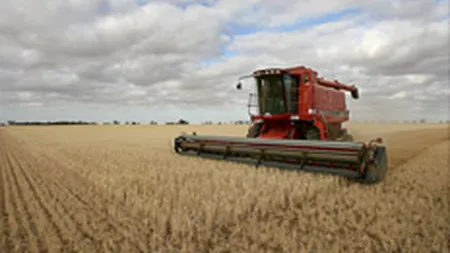 Divizia de agricultura va reprezenta 20% din business-ul Carmistin