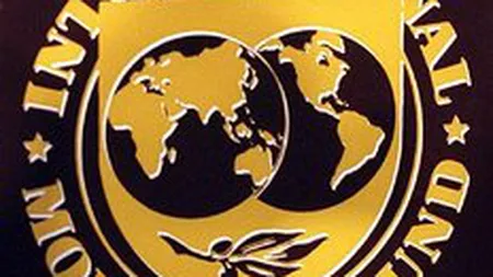 FMI: Alegerile din 2012 sunt cel mai mare pericol pentru reformele asumate de Romania