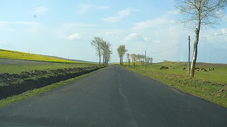 Licitatii de 3,84 miliarde lei pentru drumuri judetene in 14 judete ale tarii