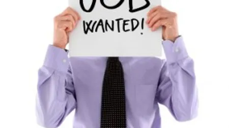 Numarul joburilor a crescut pana la peste 11.700, pentru intervalul 13-19 mai