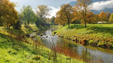 Guvernul aloca 15 milioane lei pentru studii privind protectia mediului