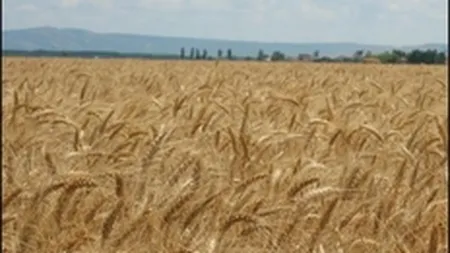 Putin: Rusia va ridica embargoul asupra exporturilor de cereale la 1 iulie