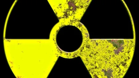 Nemtii inchid reactoarele, romanii vor a doua centrala. De ce renunta Germania la energia nucleara