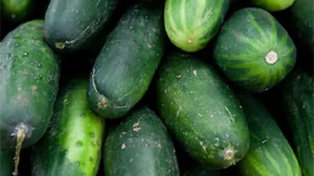 Tabara: Producatorii locali de castraveti au pierdut 9 mil. euro din cauza crizei E. Coli