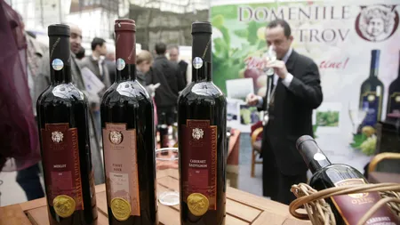 Domeniile Ostrov vizeaza dublarea afacerilor pana la 2,5 mil. euro in primele sase luni