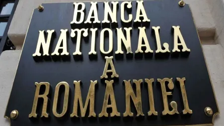 BNR: veniturile din plasamente s-au injumatatit in 2010