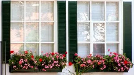 Casa, scumpa casa. Vezi unde locuiesc sefii gigantilor din IT&C (FOTO)