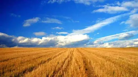 Radulescu, BNR: Notarii pun frana agricultorilor, sunt o casta formata din rudele politicienilor