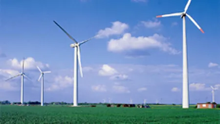 Electrica vrea sa cumpere turbine eoliene cu peste 4 mil. euro bucata