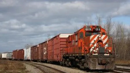 Preturile marfurilor, cu exceptia aurului, ar putea scadea luni in urma reducerii ratingului SUA