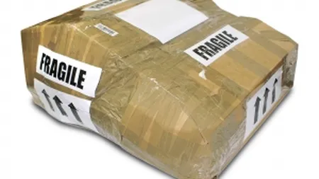 TCE Holding vrea 1 mil. euro dintr-un serviciu nou de curierat international