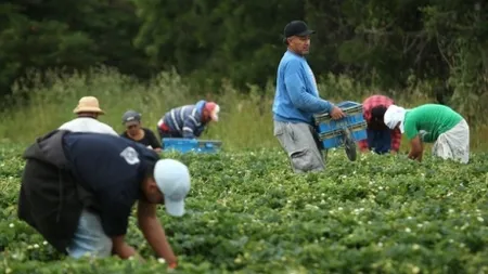 CE a decis: Romanii au interzis fara permis la munca in Spania