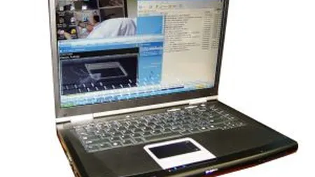 Studiu: Navigarea pe Internet in timpul pauzelor creste productivitatea la locul de munca