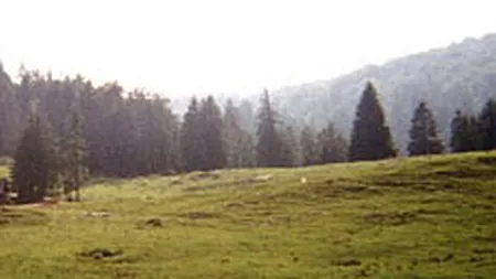 Un drum din Apuseni care dateaza din vremea romanilor, omologat ca traseu turistic