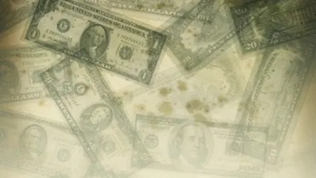 Cum au ajuns pierderile sa fie valoroase cand companiile le muta in tari cu taxe mari