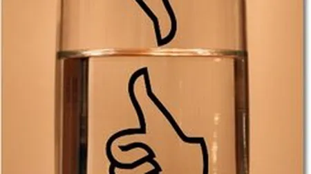 Teoria paharului la Palatul Victoria. Boc ne vede iesiti din recesiune, analistii cred ca ne imbatam cu apa rece