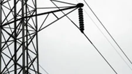 Guvernul se da batut: renunta la infiintarea Electra si Hidroenergetica