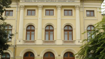 Muzeul Antipa se redeschide, dupa o investitie de circa 11 mil. euro