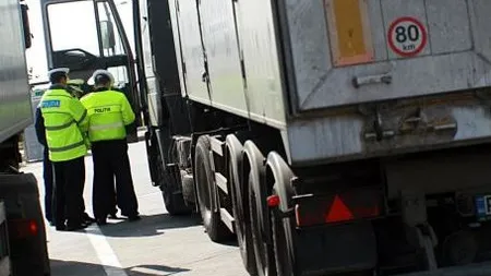 Tir cu flori din Olanda oprit in Vama Bors. Analizele preliminare au relevat existenta unei bacterii