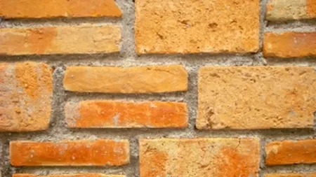 Sika se extinde in Republica Moldova si vrea afaceri de 1 mil. euro anul viitor