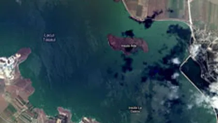 Primaria Navodari scoate la vanzare o insula. Vezi cat costa un lot