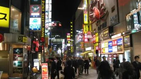 Japonia a revenit in 1987, la nivelul fortei de munca