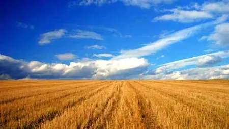 APIA: Fermierii vor primi avansul de 42 euro din SAPS 2011, incepand de saptamana viitoare