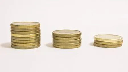 Vezi cum s-a repartizat bugetul de stat pentru 2012