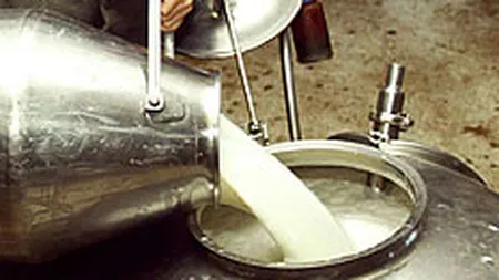 Romania are termen pana in 2014 sa se alinieze in privinta calitatii laptelui crud de vaca