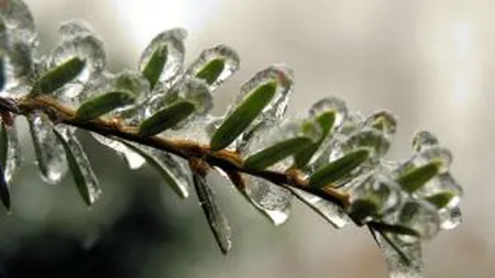 Cine intra mai devreme in vacanta: Industrii care ingheata de sarbatori