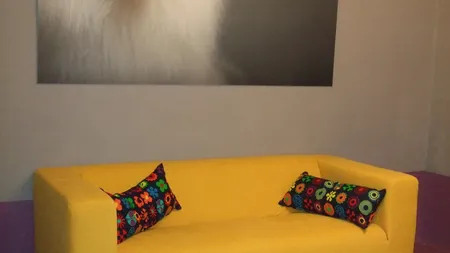 Hotelul de lux pentru animale, un business care prinde si  la romani. Vezi cum arata raiul cateilor si pisicilor (Foto)