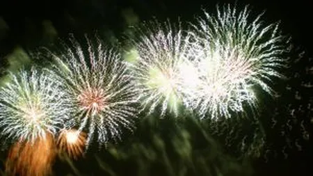 Revelionul 2012, mai sarac. Vezi cat de mult au strans cureaua romanii