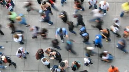 Rata somajului a scazut la 7% in decembrie