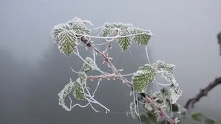 Tabara: Gerul imi da emotii pentru productia agricola din acest an