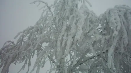 Seful Consiliului Judetean Vrancea vrea sa declare stare de alerta