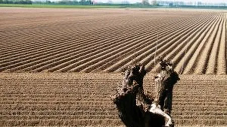 Sansele de a bloca vanzarea terenurilor catre straini dupa 2013, aproape de zero