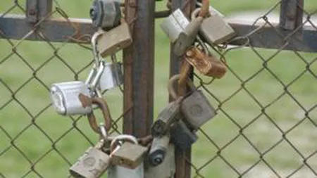 Cand profitul nu are valoare. De ce intra si firmele pe plus in insolventa