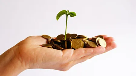 Start-up-urile, finantate daca au spate. Cine sunt incepatorii care iau credite