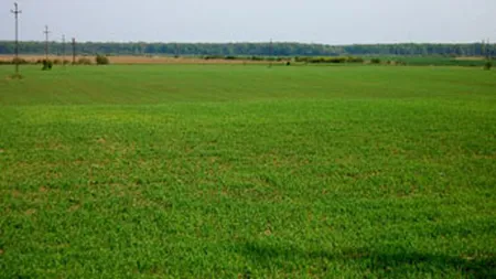 APIA ar putea ramane fara o parte din cei 5.500 de angajati