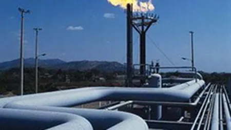 Consumul de gaze a scazut cu peste 7% in prima luna a anului