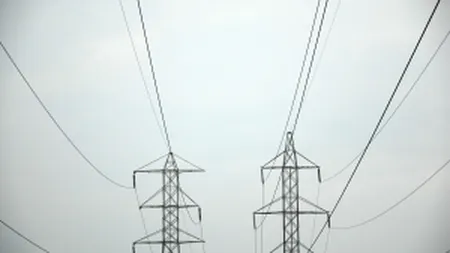 Nuclearelectrica asteapta pana pe 21 mai oferte de la brokeri pentru intermedierea listarii