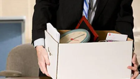 Rata somajului BIM a crescut in 2011 la 7,4%