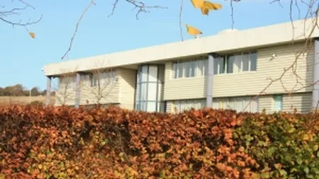 Anomaliile crizei in imobiliare: Spatii industriale cu 1 euro/mp chiria