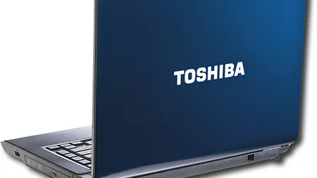 Toshiba cumpara o divizie de la IBM