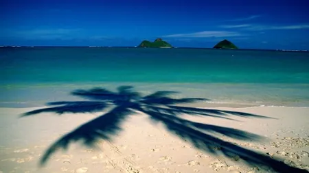 Agentia de turism Vola.ro intra pe piata din Ucraina