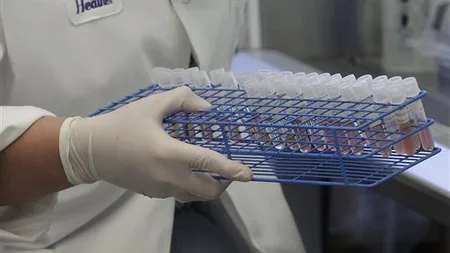 Yorktest a vandut peste 1.000 de kit-uri in 2011