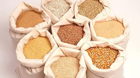 Agroland si-a crescut afacerile cu 20% in T1